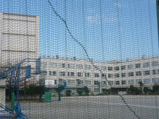 Junior high school. Fuchie 1000m until junior high school