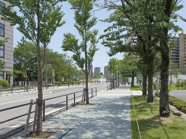Local neighborhood streets (about 100m from local)
