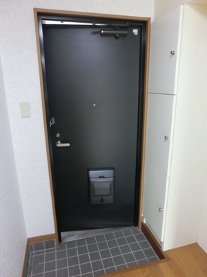 Entrance. Entrance of the shoebox-conditioned