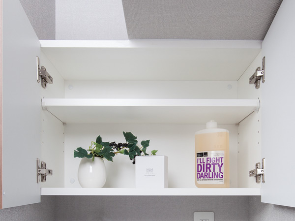 Receipt.  [æ'-æ¿ ] On the convenient laundry bread in storage, such as softener storage.