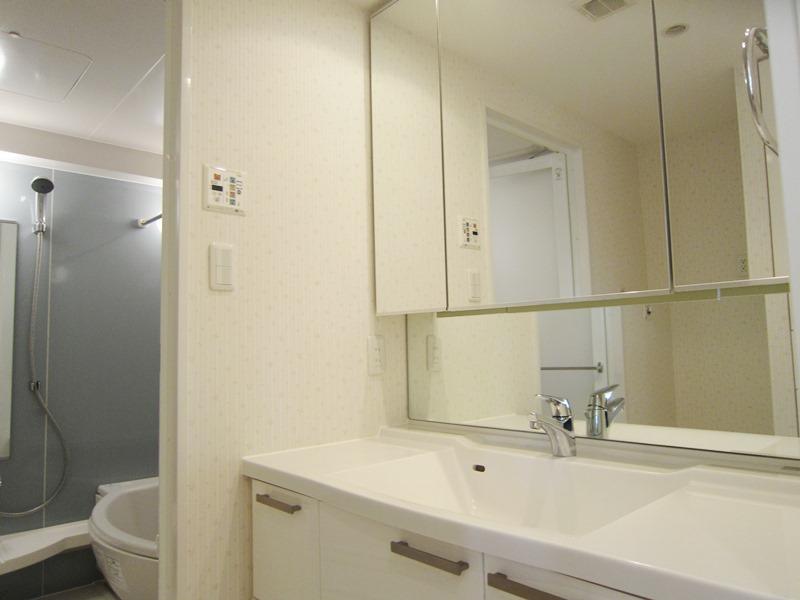 Wash basin, toilet. Bathroom vanity