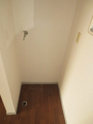 Washroom. Indoor Laundry Storage