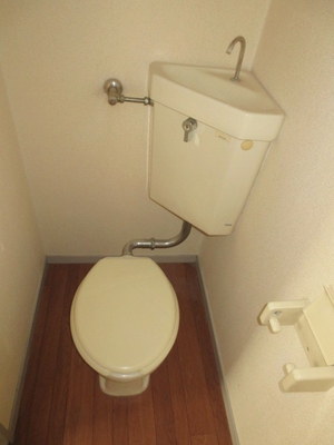 Toilet. Toilet