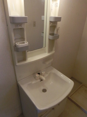 Washroom. Independent wash basin