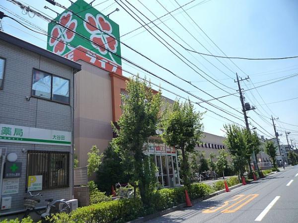 Supermarket. Until Life Oyata 419m