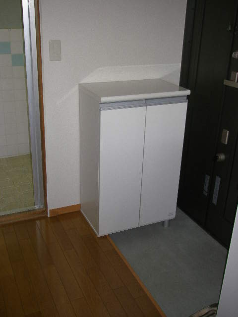 Entrance. Cupboard Yes