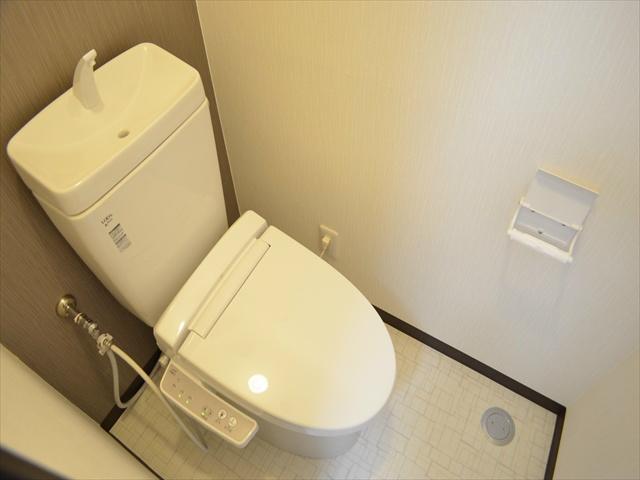 Toilet. LIXIL toilet