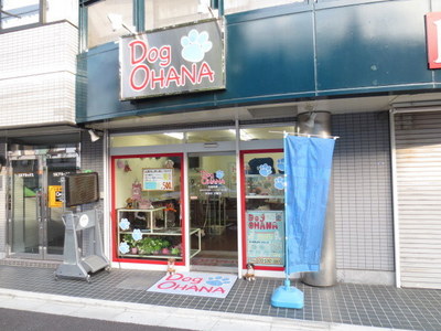 Other. Dog 560m to OHANA (Other)