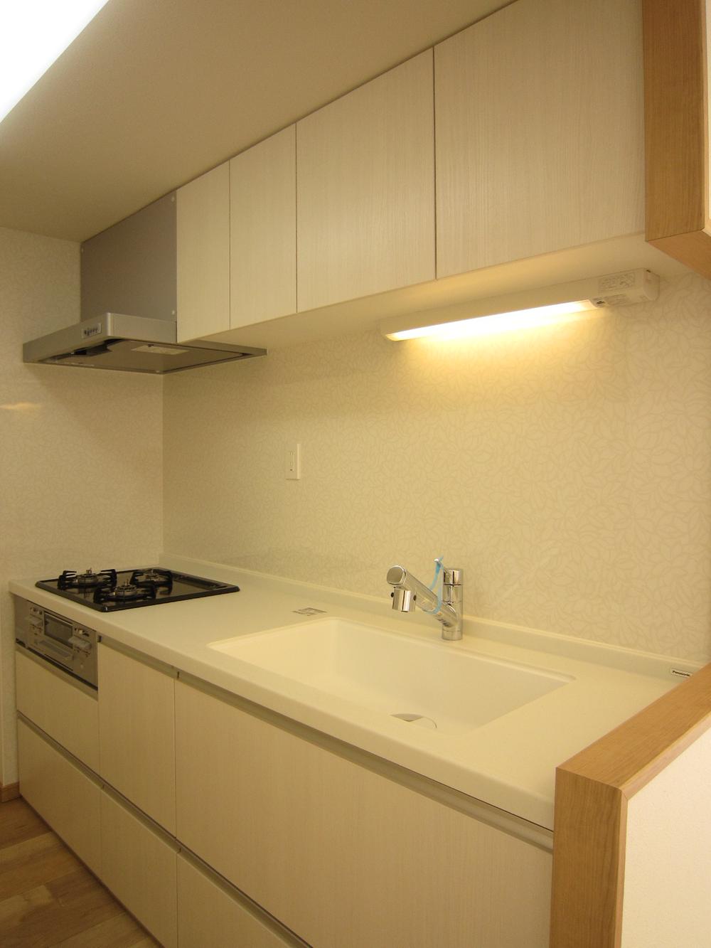 Kitchen. Indoor (12 May 2013) Shooting
