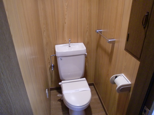 Toilet. Western style