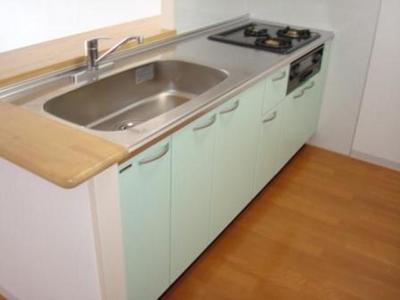 Kitchen. Counter Kitchen