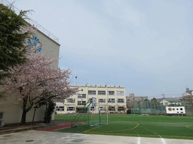 Primary school. Until the fan elementary school 335m