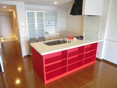 Kitchen. Counter system with kitchen disposer