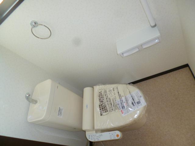 Toilet. Shower toilet