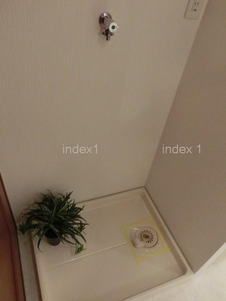 Wash basin, toilet. There is also indoor washing machine Storage!