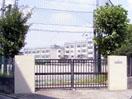 Junior high school. 979m to Adachi Ward Kanbara Junior High School
