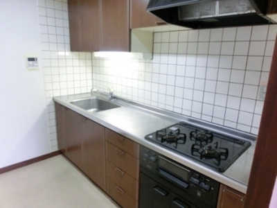 Kitchen. Easy-to-use spacious three-necked system Kitchen! 