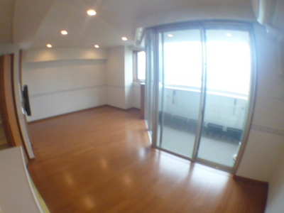 Living and room. Living dining room