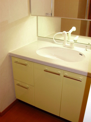 Washroom. Bathroom Vanity