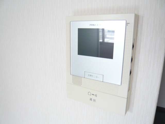 Security. TV intercom with