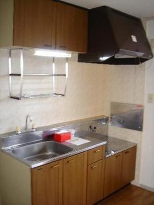 Kitchen. Stove is installed type kitchen