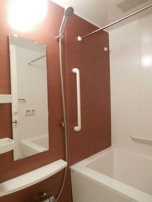 Bath. Reheating fully equipped bathroom