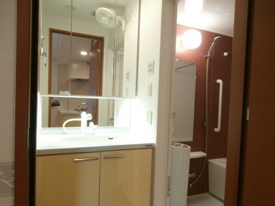 Washroom. Shampoo dresser