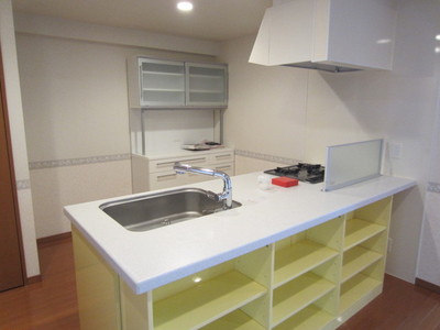Kitchen. System kitchen