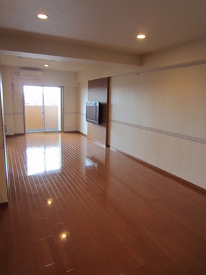 Living and room. Living