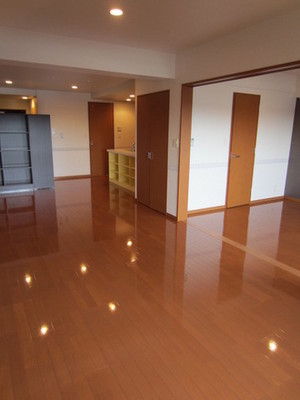 Living and room. Living