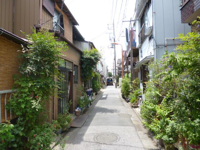 Local photos, including front road. Local front road