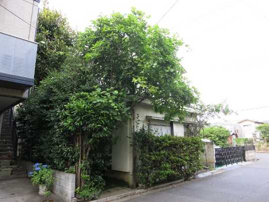 Local land photo. It is taken from the southwest side.