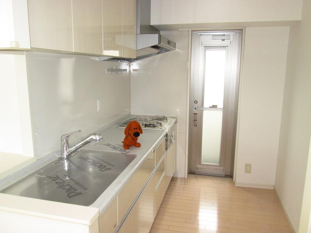 Kitchen. There is a back door