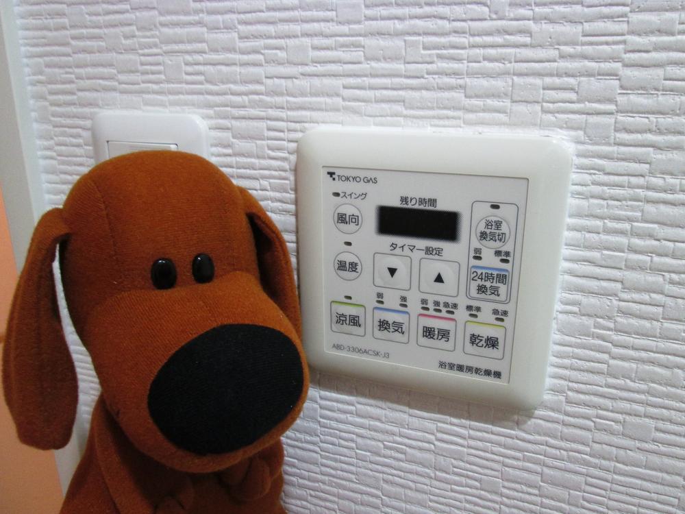 Other. With bathroom dryer