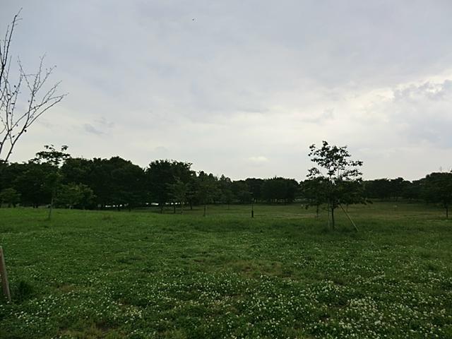 park. Until Tonerikoen 190m