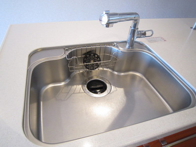 Kitchen. Disposer (garbage disposal) with sink