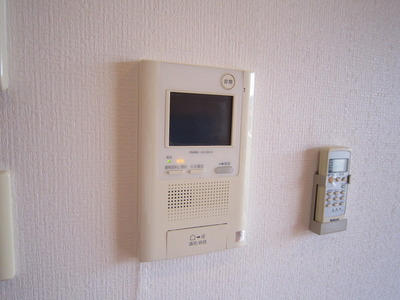 Security. Monitor with intercom (auto lock correspondence)