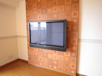 Other Equipment. 42 inches plasma TV with (with HDD recording function)