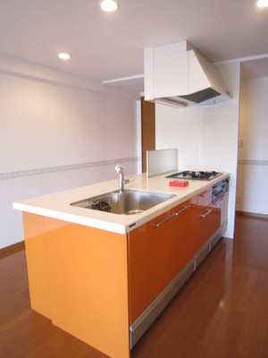 Kitchen. A feeling of opening party kitchen specification (with disposer)