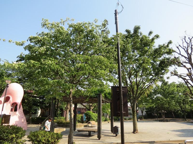 park. 311m to Koya petting park