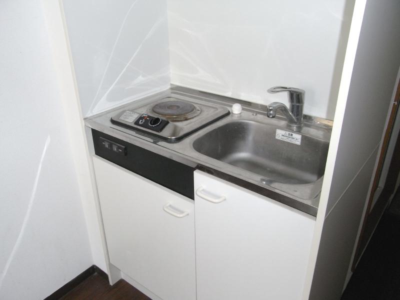 Kitchen. Kitchen electric stove 1-neck