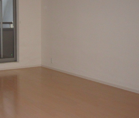 Living and room. The same type