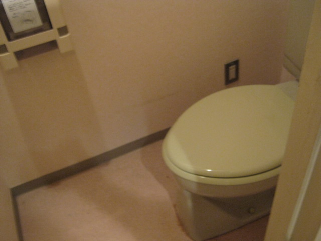 Toilet
