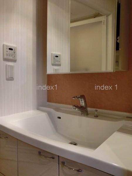 Wash basin, toilet. Large basin sink is the point!