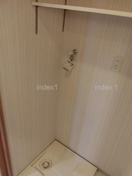 Wash basin, toilet. There is also indoor washing machine Storage!