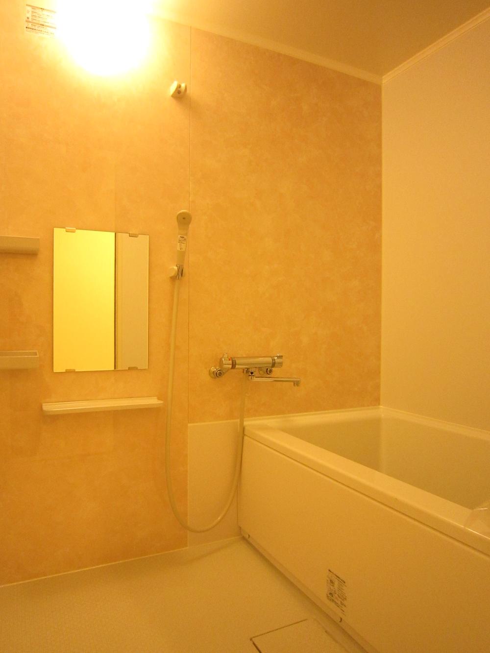 Bathroom. Indoor (10 May 2013) Shooting