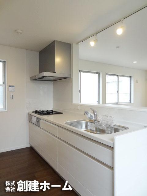 Kitchen. Popular face-to-face kitchen