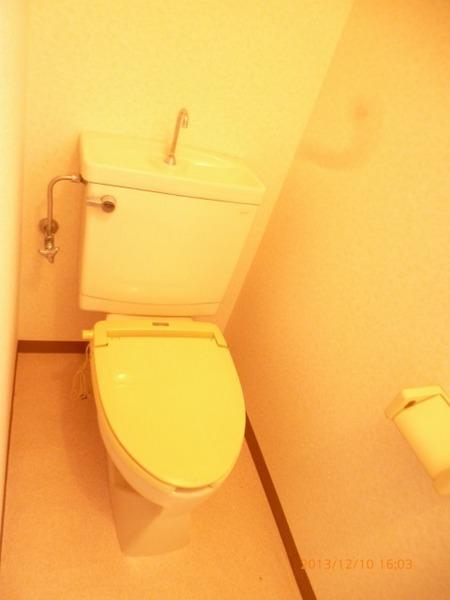 Toilet. A clean toilet!