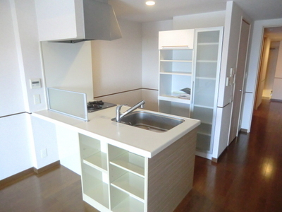 Kitchen. Counter system with kitchen disposer