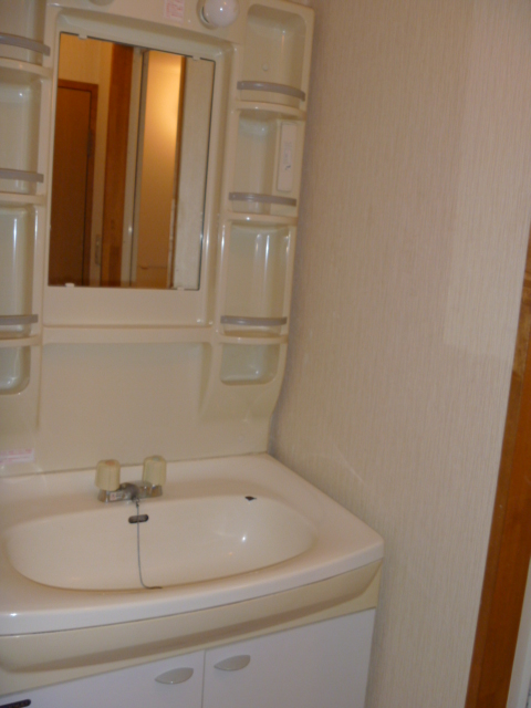 Washroom. Dressing room with a separate wash basin